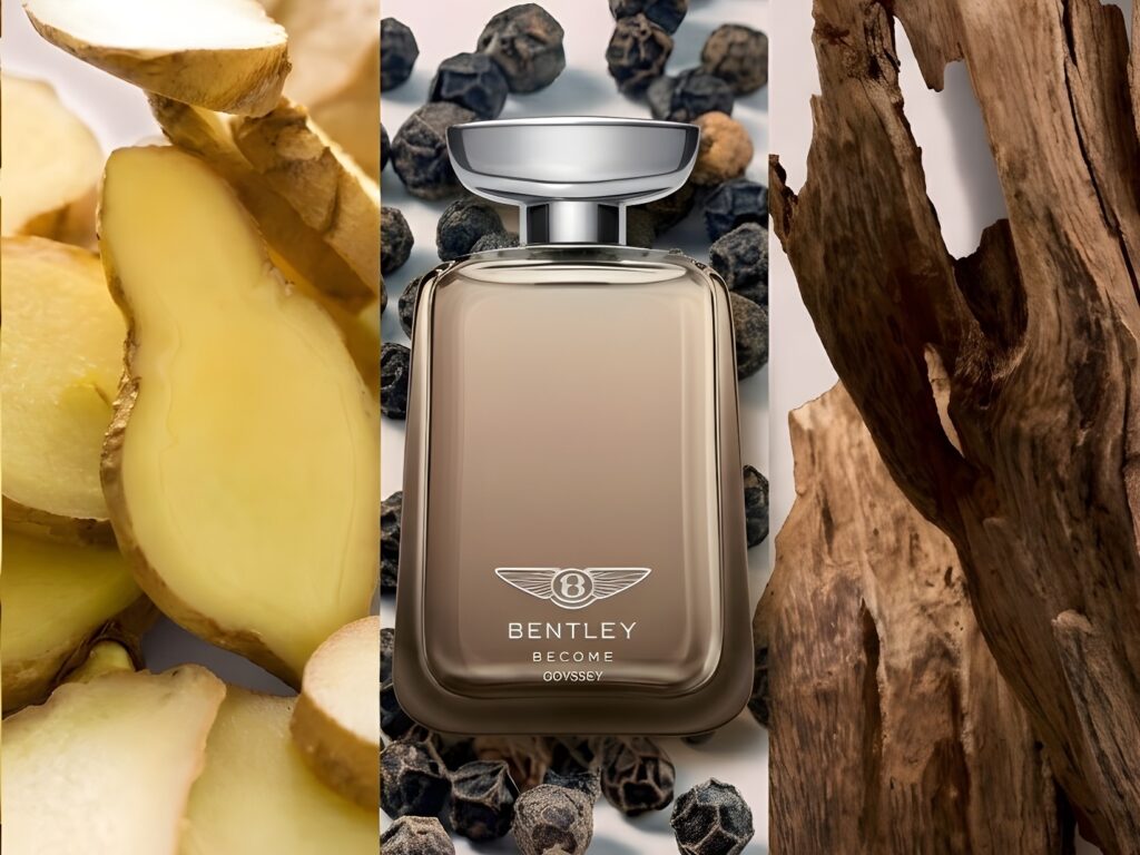 Become Odyssey: la nuova fragranza di Bentley Fragrances